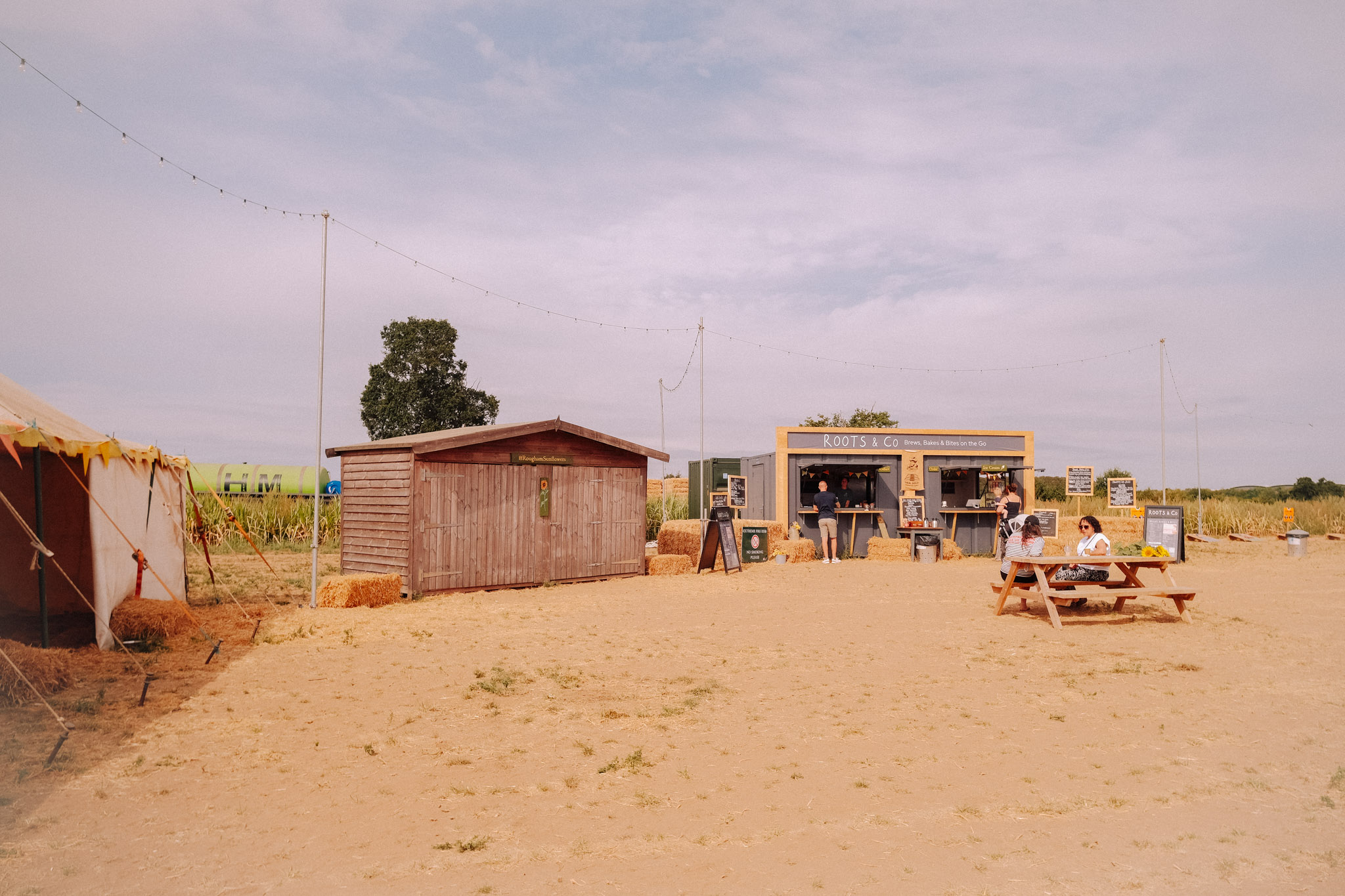 A rural outdoor market setup featuring a food stall named 'Roots & Co', a wooden shed, and a tent with decorative flags, surrounded by straw bales and an empty sandy area.