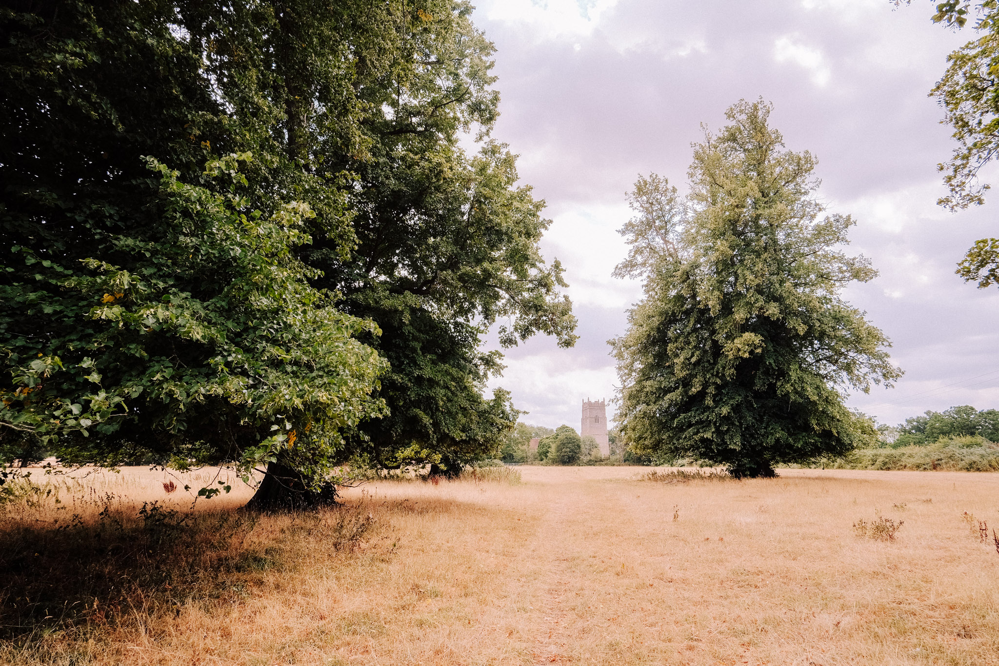 A grassy field surrounded by large trees, with a distant stone tower visible against a cloudy sky.