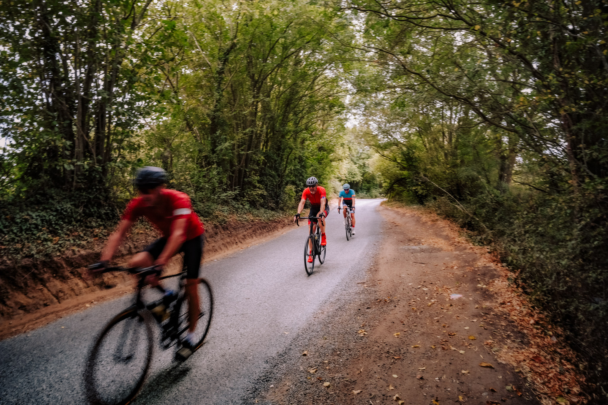 A group of three cyclists riding along a winding, tree-lined road. The cyclists are dressed in bright jerseys, with one in red and two in varying colors, suggesting a fitness or recreational biking scenario.