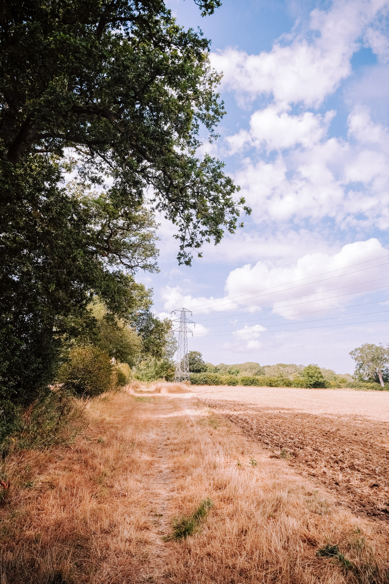 A pathway lined with grass and trees leads through a rural landscape, with a field on the right and a power line tower in the distance under a partly cloudy sky.