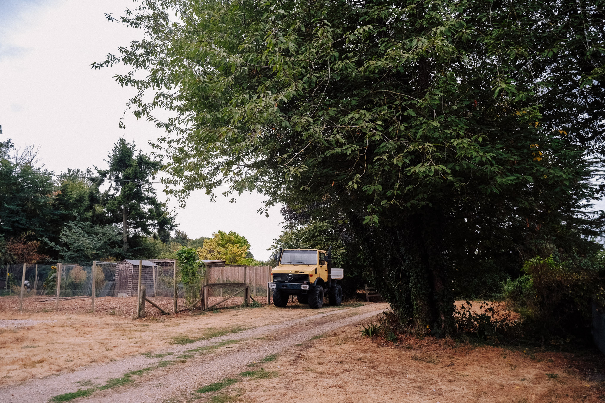 A rural scene featuring a yellow truck parked along a gravel driveway, surrounded by trees and a fenced area with a structure in the background.