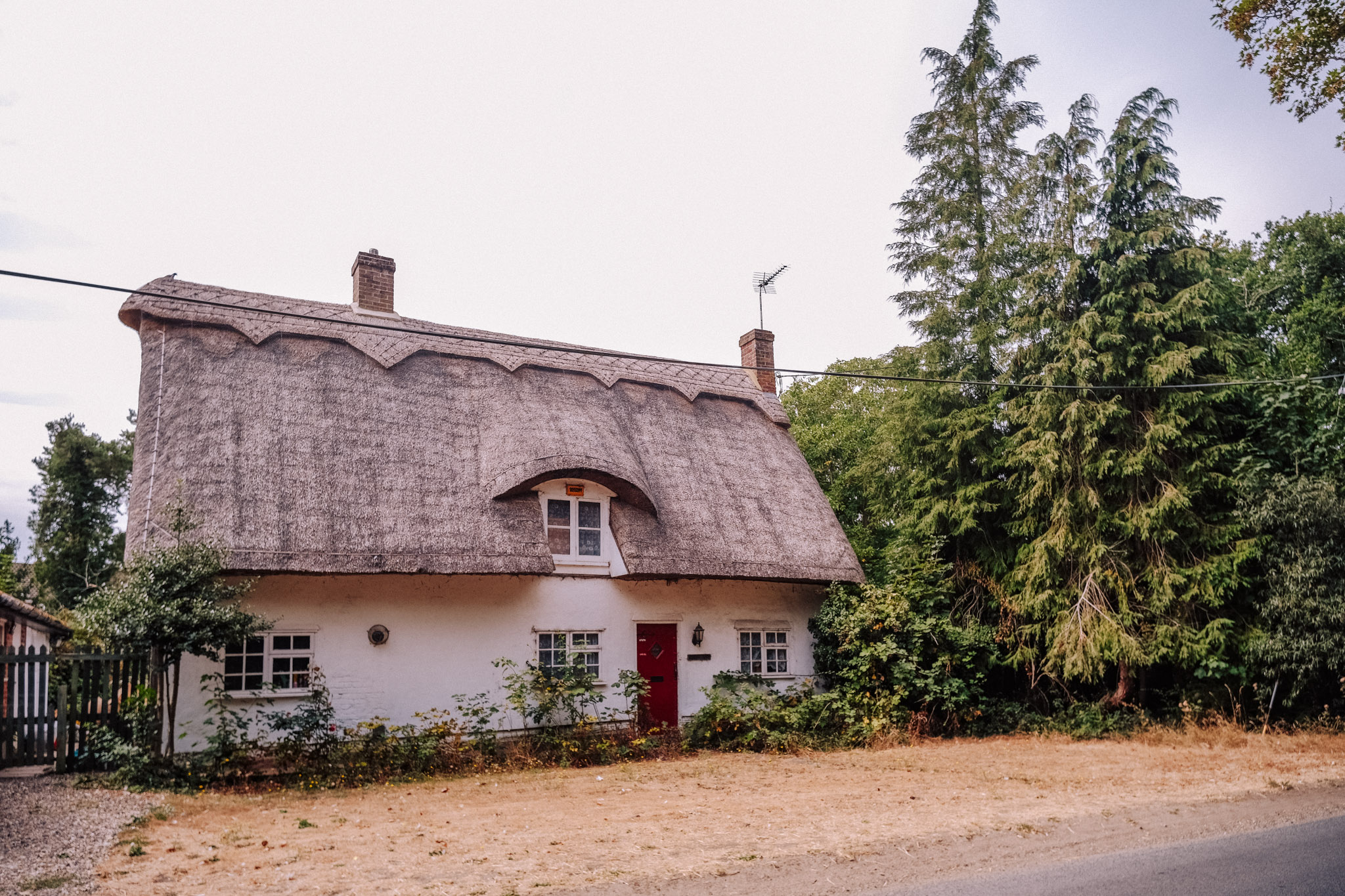 A charming thatched roof cottage surrounded by greenery and tall trees, with a red front door and white walls.