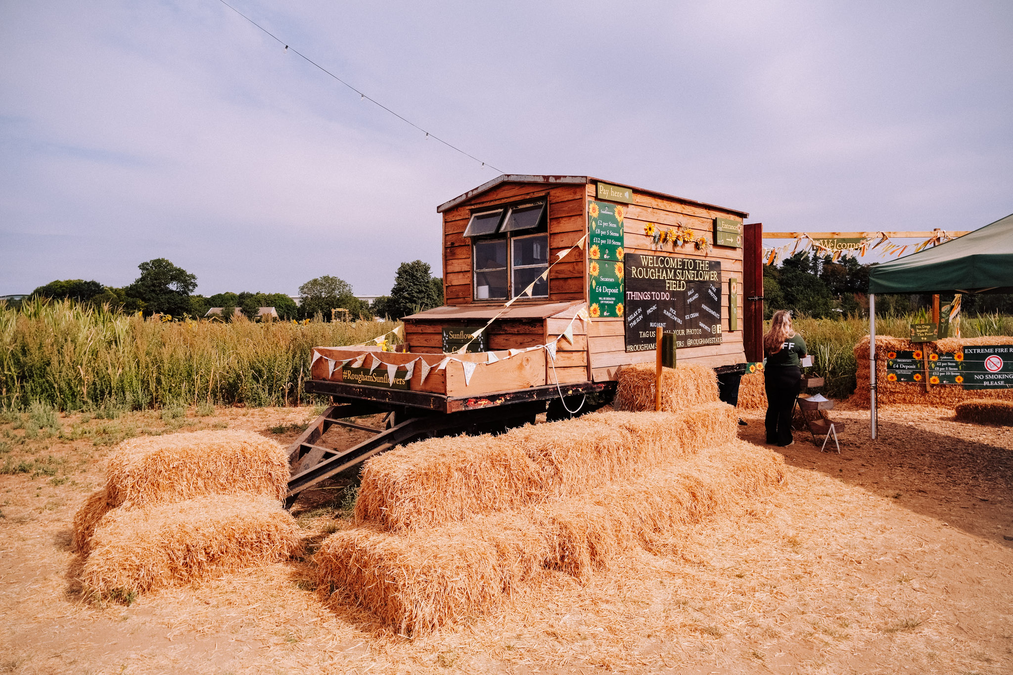 A wooden kiosk at the Rougham Sunflower Field, surrounded by straw bales and sunflowers, with a staff member seated nearby.