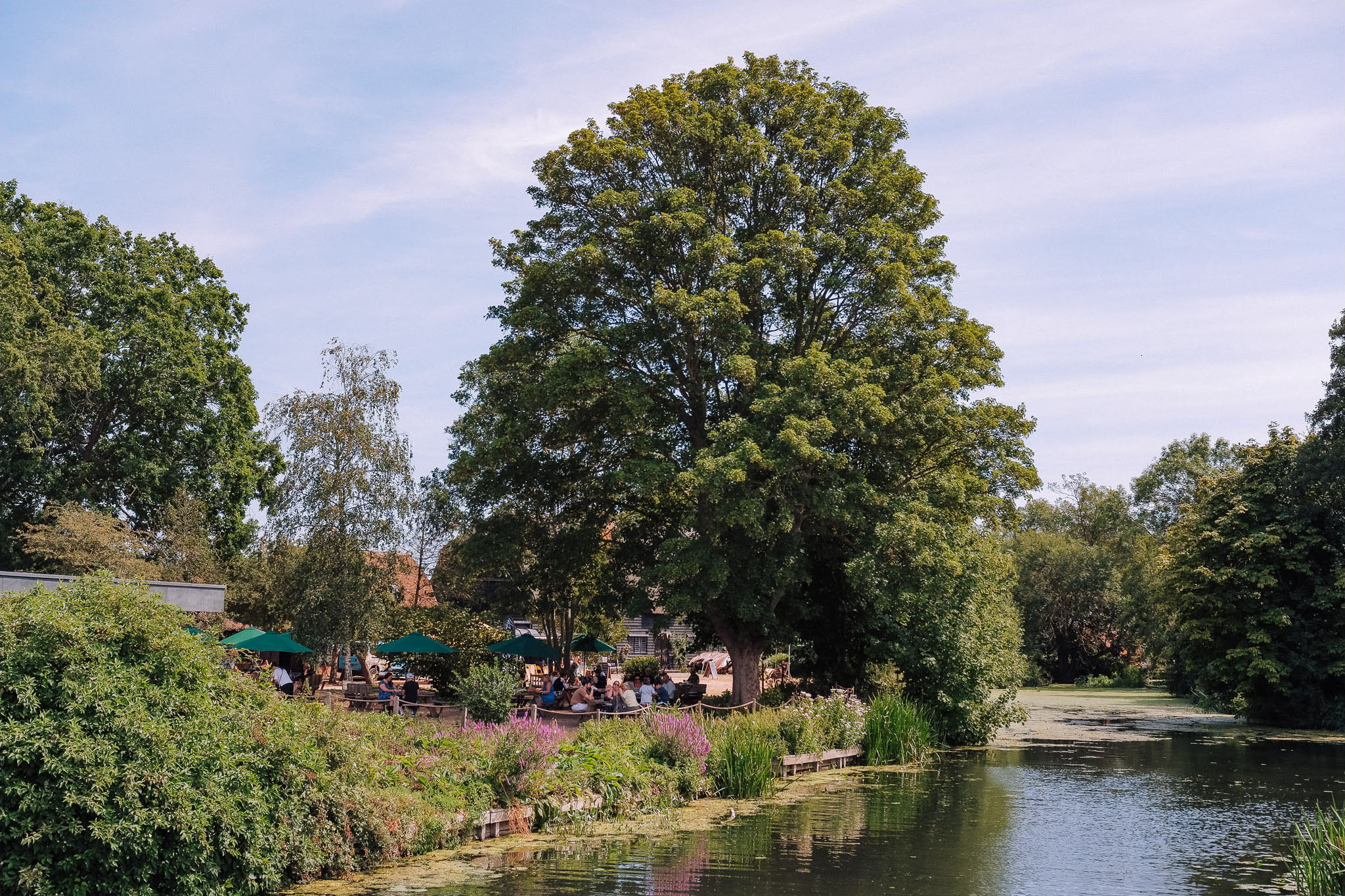A scenic riverside view featuring a large green tree, dining areas with umbrellas, and lush vegetation along the water's edge under a clear blue sky.