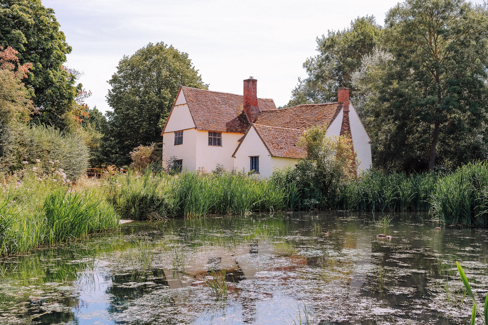 A serene countryside scene featuring a charming white cottage with a thatched roof, surrounded by lush greenery and a tranquil pond reflecting the house.