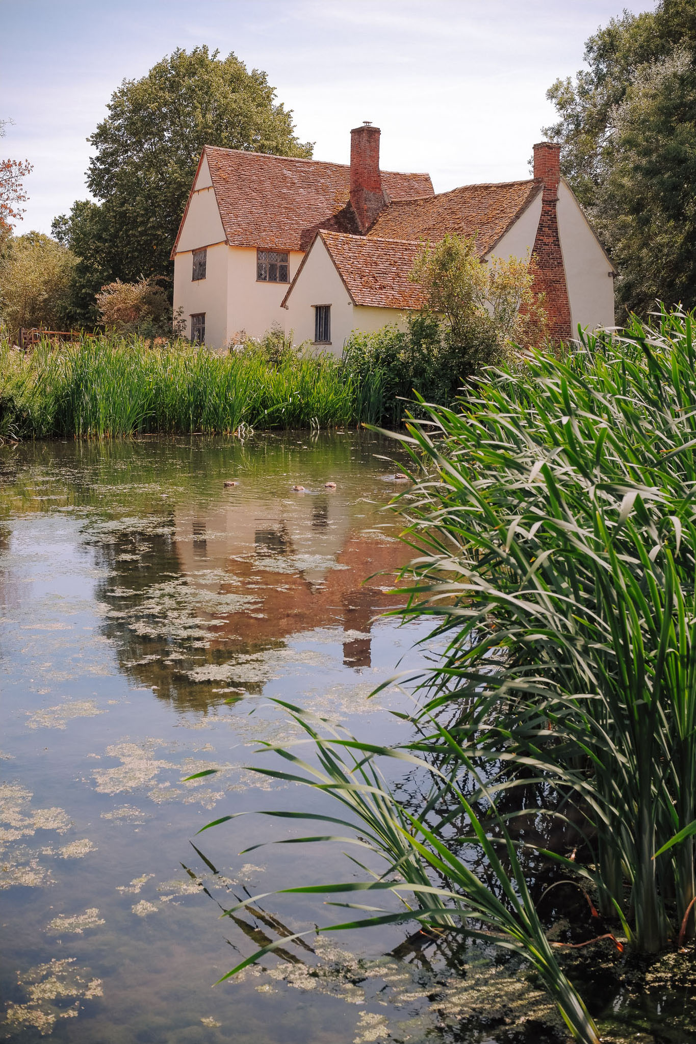 A quaint house beside a reflective pond, surrounded by lush greenery and tall grass.