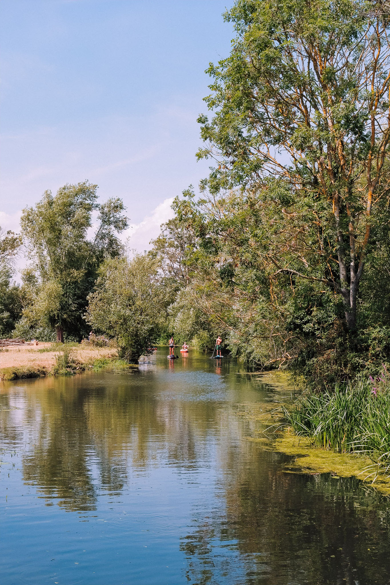 A serene river surrounded by lush trees and greenery, with people kayaking and paddleboarding on the calm water under a clear blue sky.