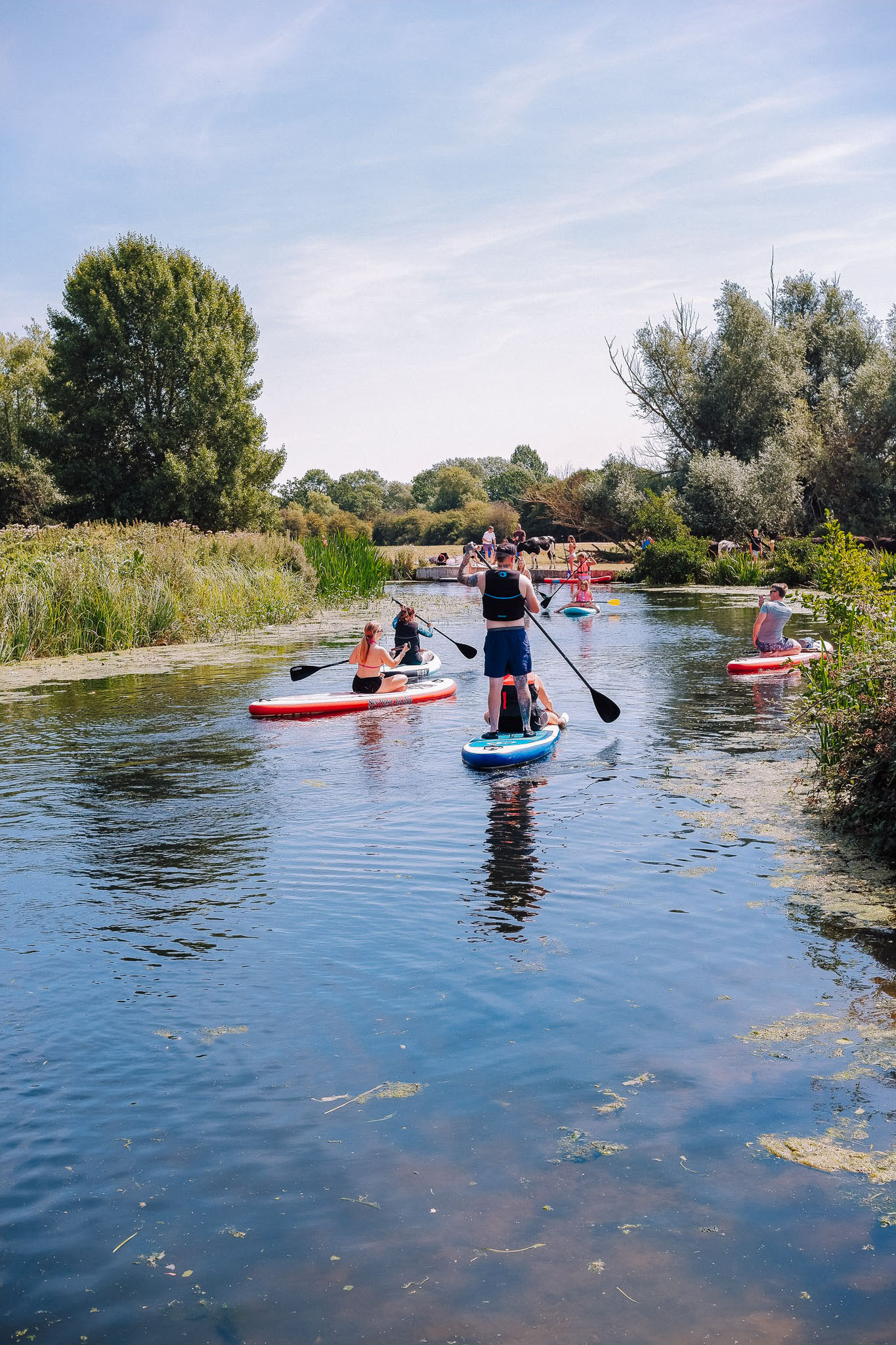 A group of people paddleboarding on a calm river surrounded by greenery under a clear blue sky.