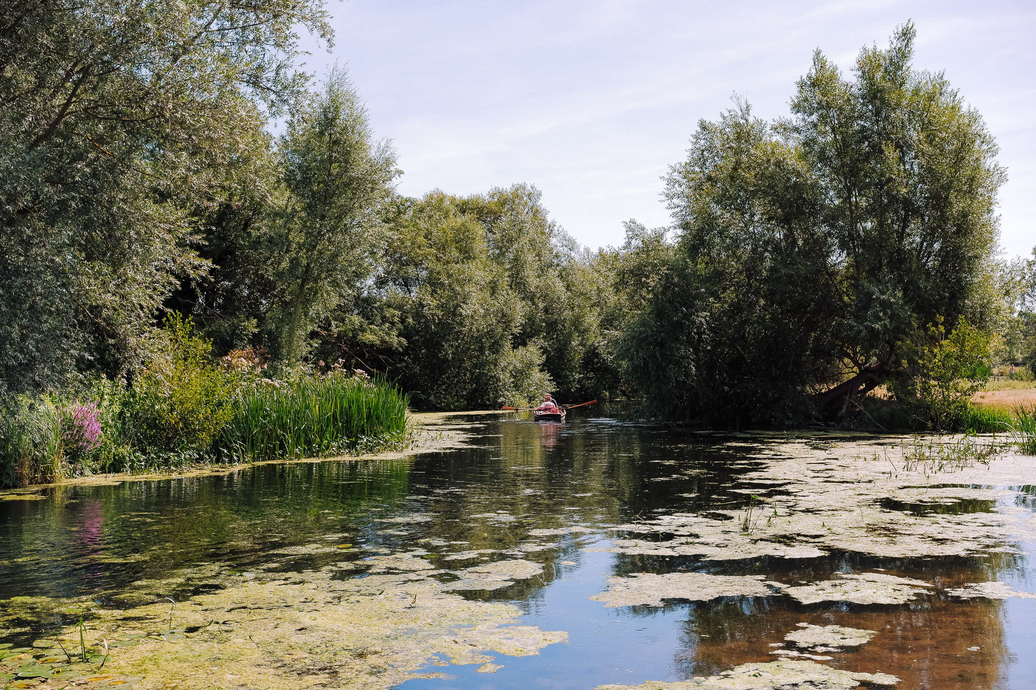 A tranquil waterway surrounded by lush greenery, with a person kayaking in the distance amidst lily pads and reflections on the water's surface.