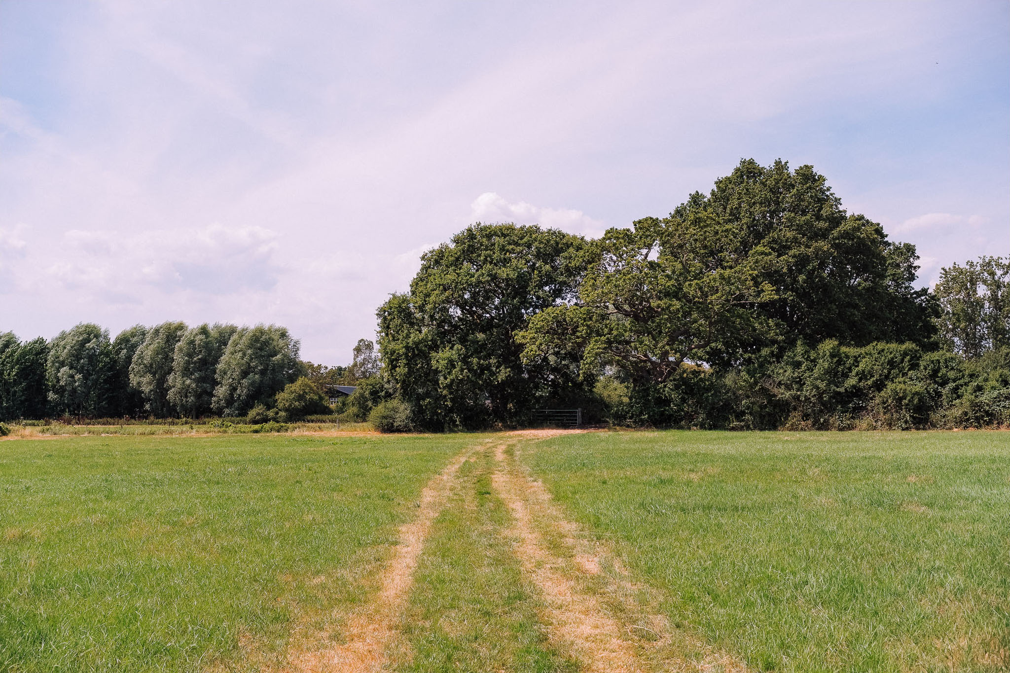 A peaceful rural landscape featuring a grassy field with a dirt path leading to trees and a blue sky with fluffy clouds.