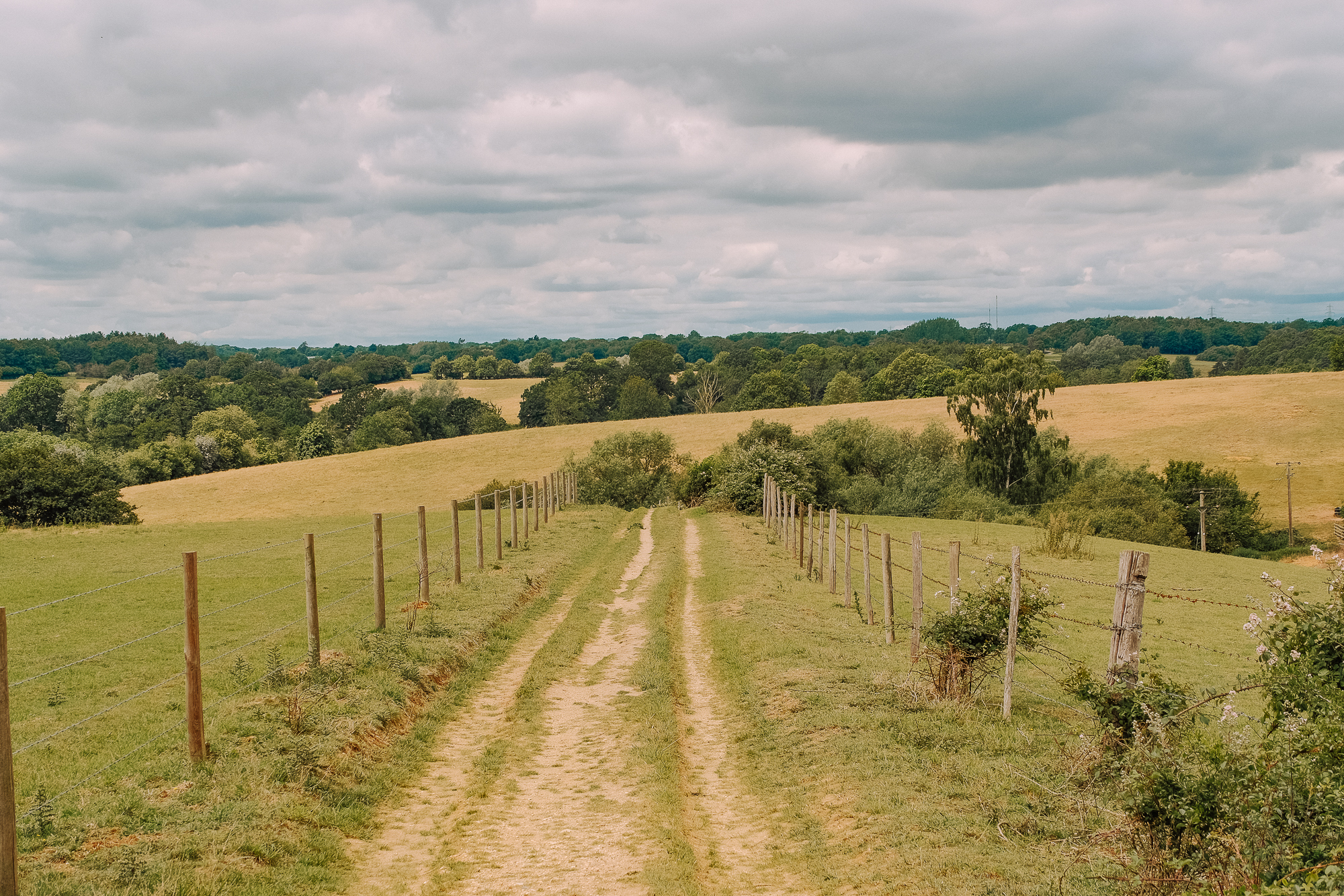 A dirt path running between wooden fences in a countryside landscape, with rolling green hills and scattered trees under a cloudy sky.