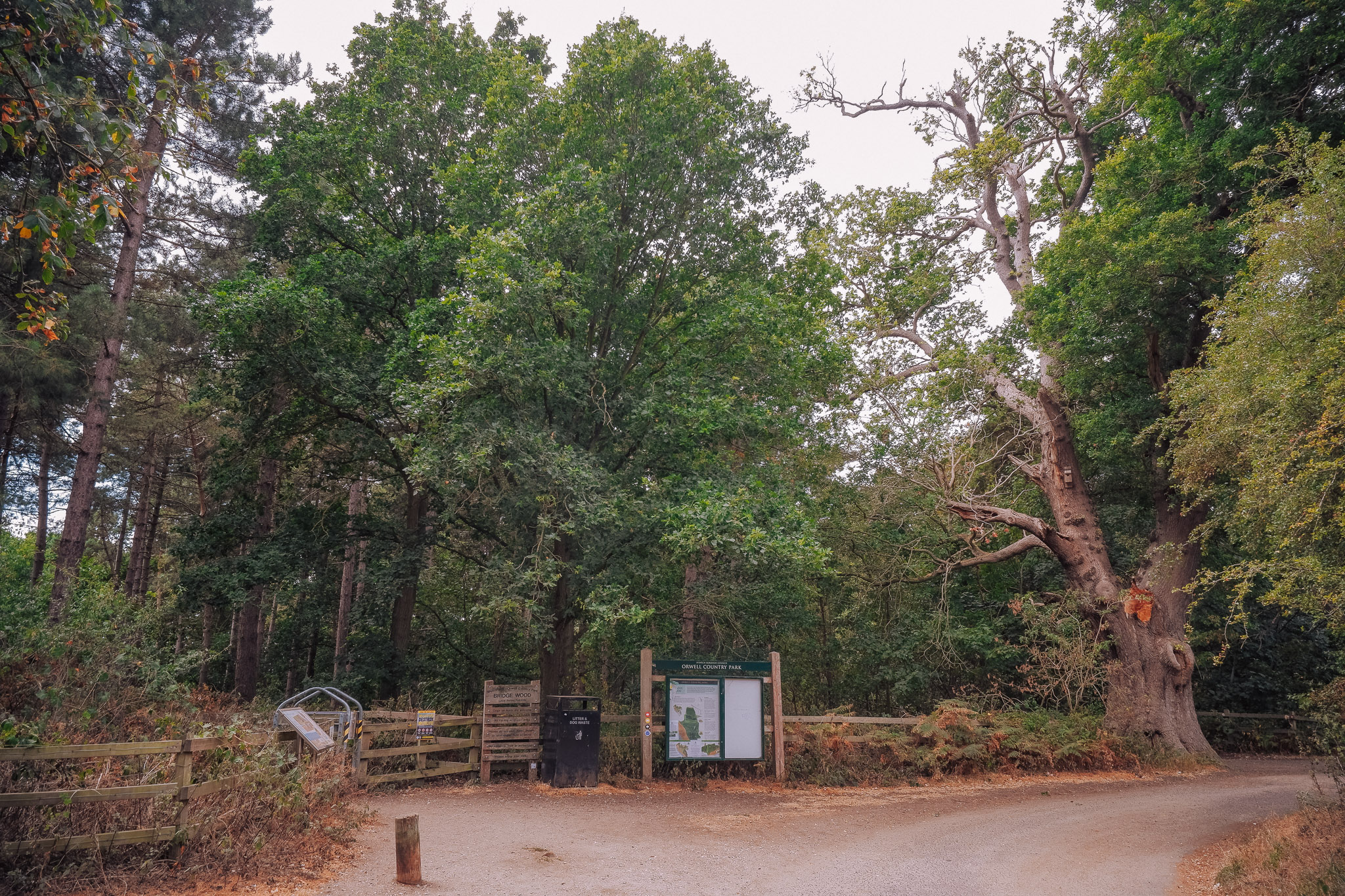Entrance to a wooded area with a path, a signboard displaying a map, and several trees in the background.