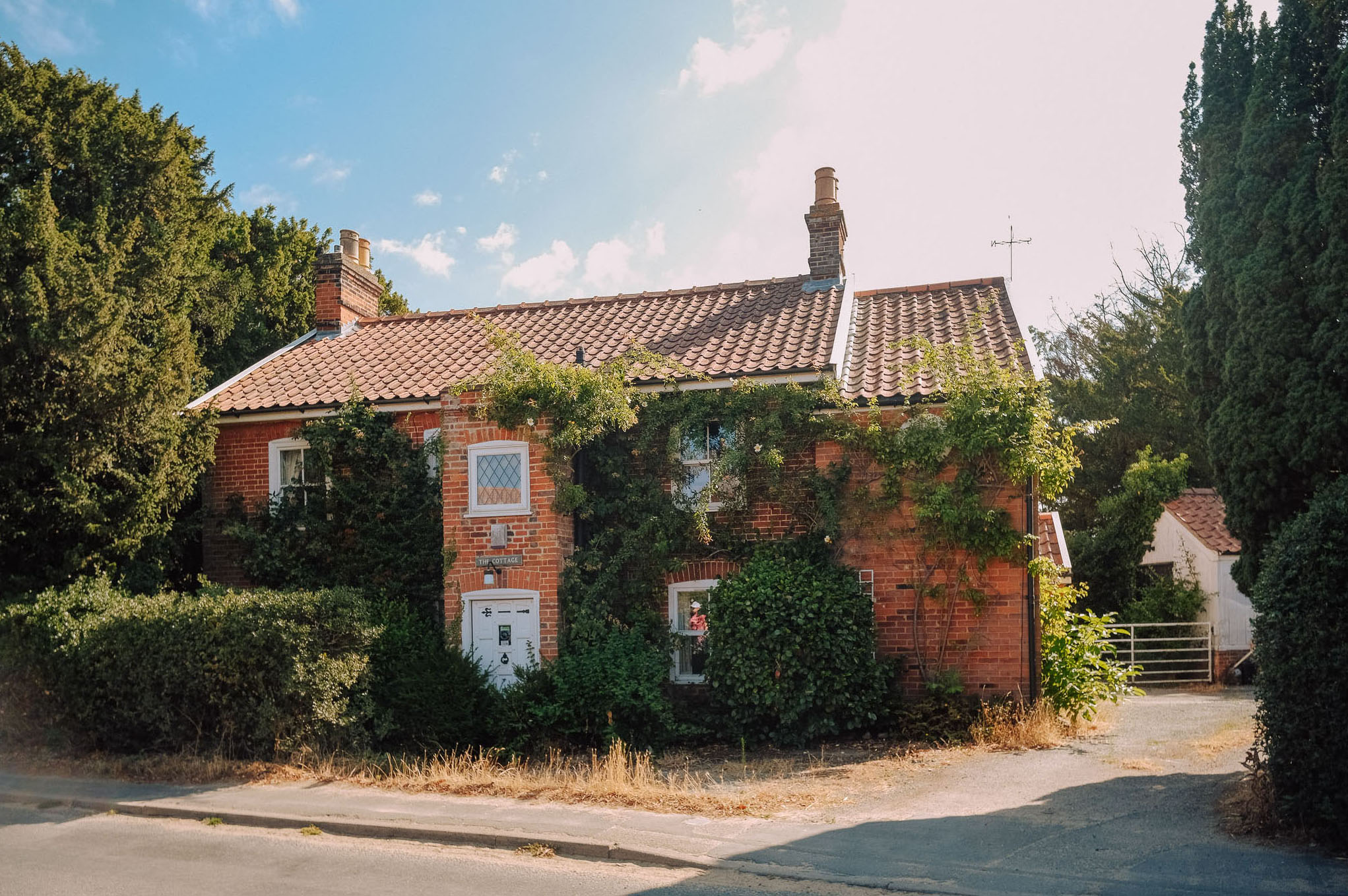 A charming brick house covered in greenery, featuring a tiled roof and surrounded by trees and shrubs on a sunny day.