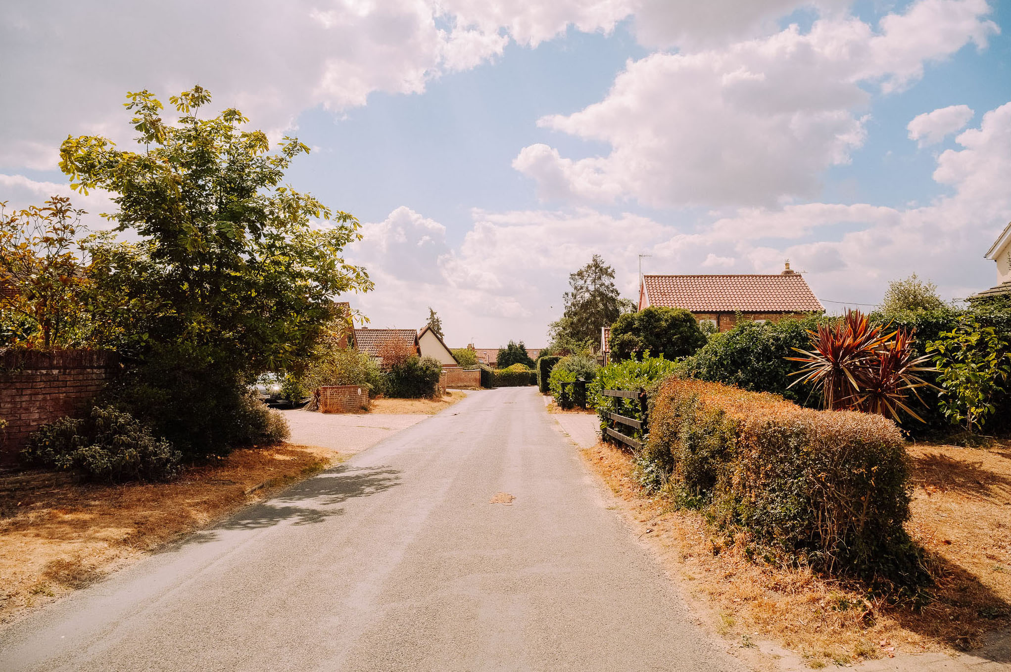 A peaceful rural road lined with trees and hedges, leading to houses under a partly cloudy sky.