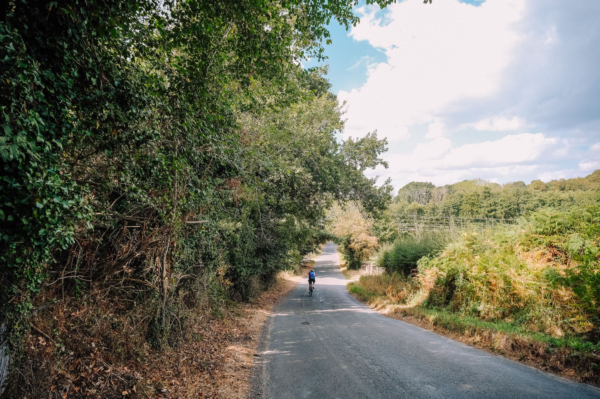 A cyclist riding on a peaceful rural road, surrounded by trees and greenery under a partly cloudy sky.