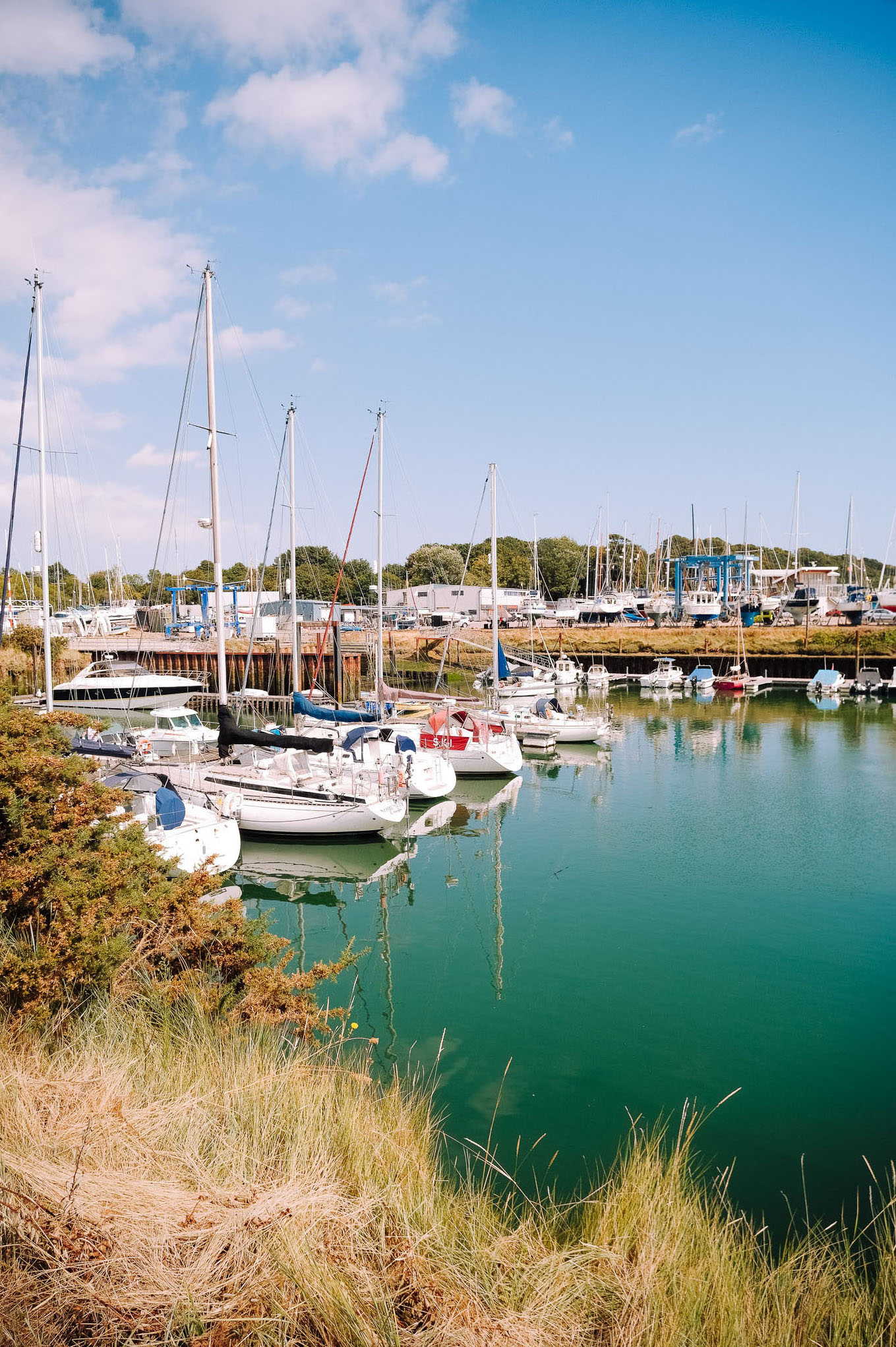 A serene marina scene featuring several sailboats docked in calm waters, surrounded by lush greenery and blue skies.